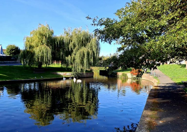 Royal Military Canal – Hythe Stretch, from the fishery's own website