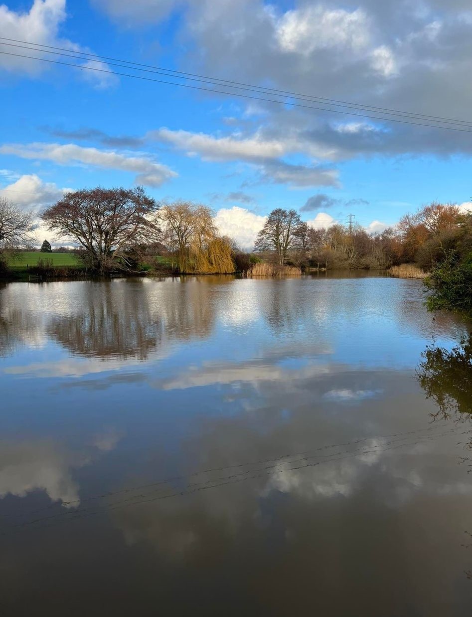 Royal Military Canal – Hythe Stretch, from the fishery's own website